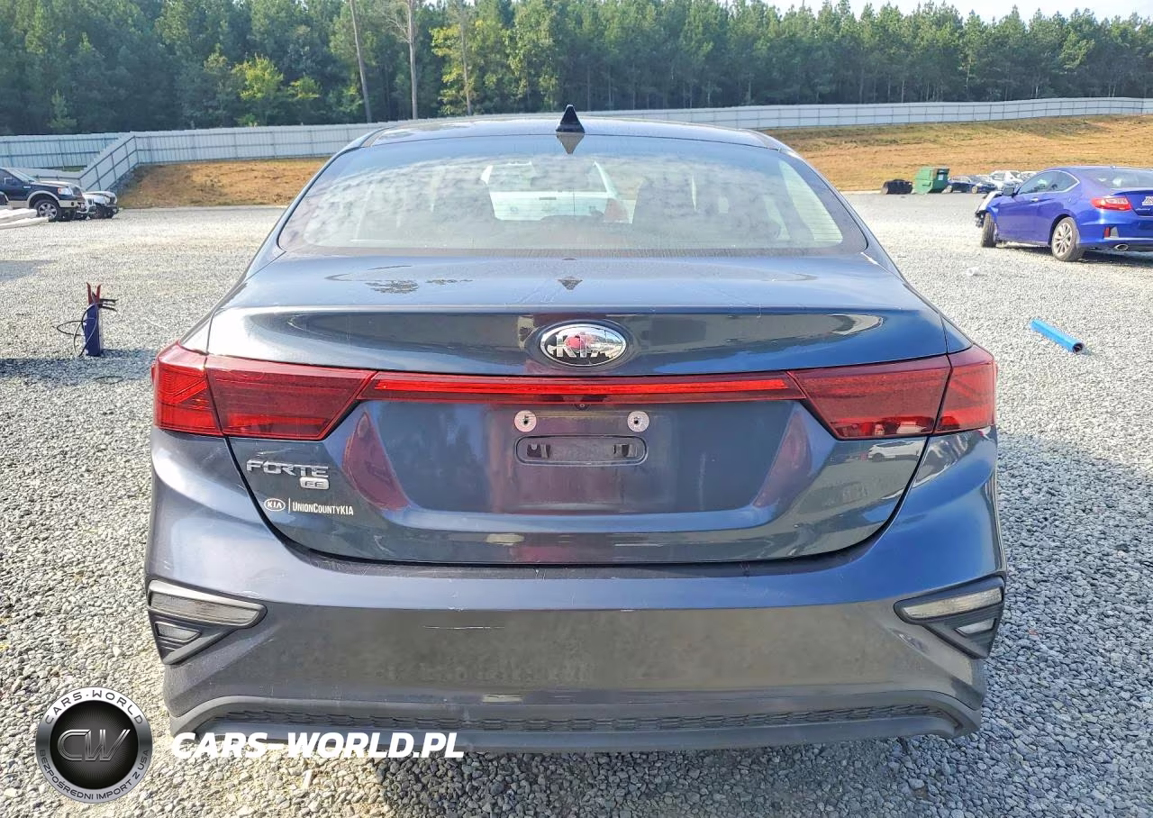 2019 Kia Forte Fe VIN:3KPF24AD7KE104511 - 6