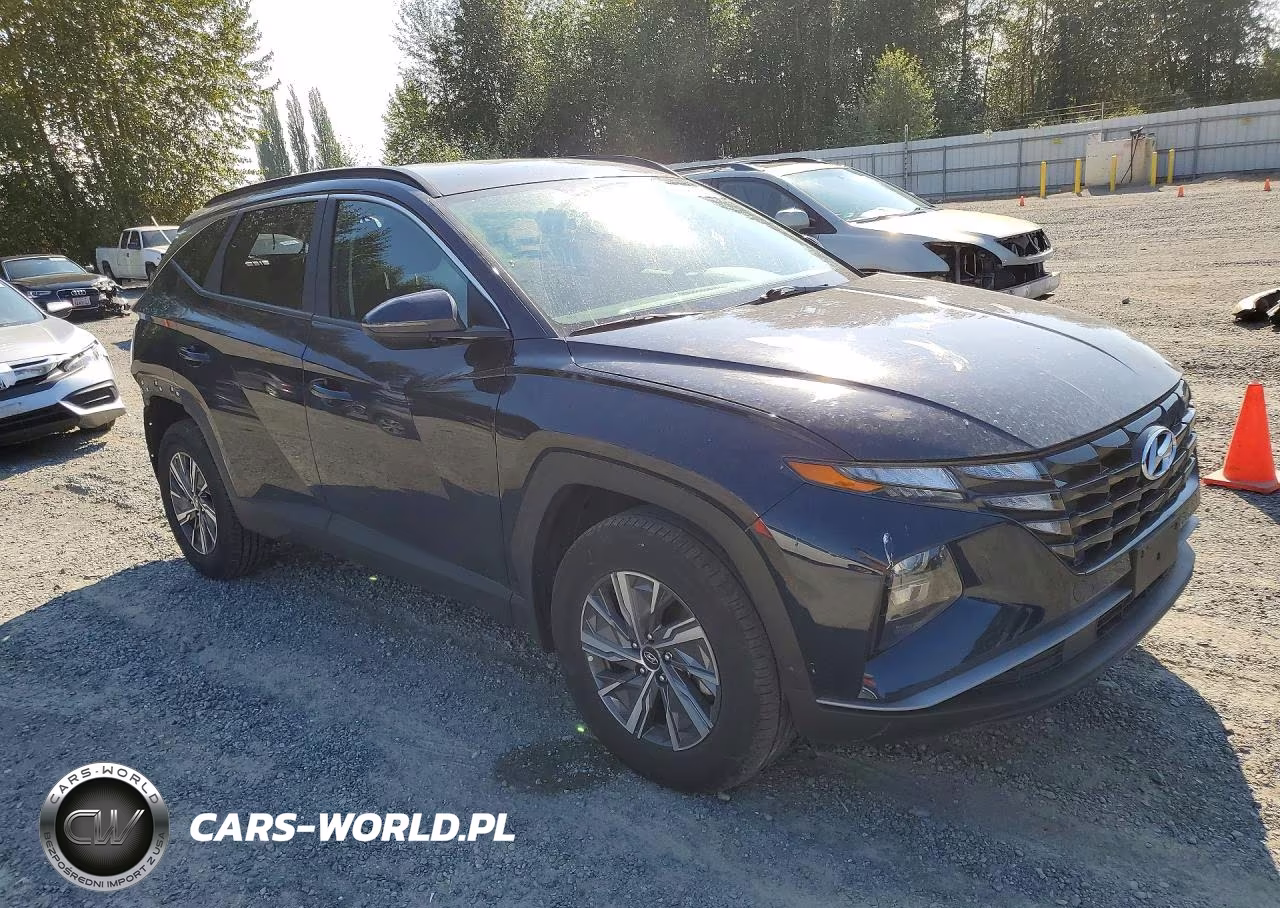 2022 Hyundai Tucson Blue VIN:KM8JBCA10NU082427 - 4