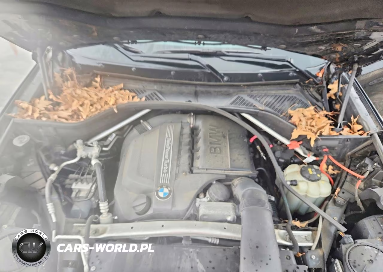 2018 BMW X6 xDrive35I VIN:5UXKU2C51J0X49731 - 11