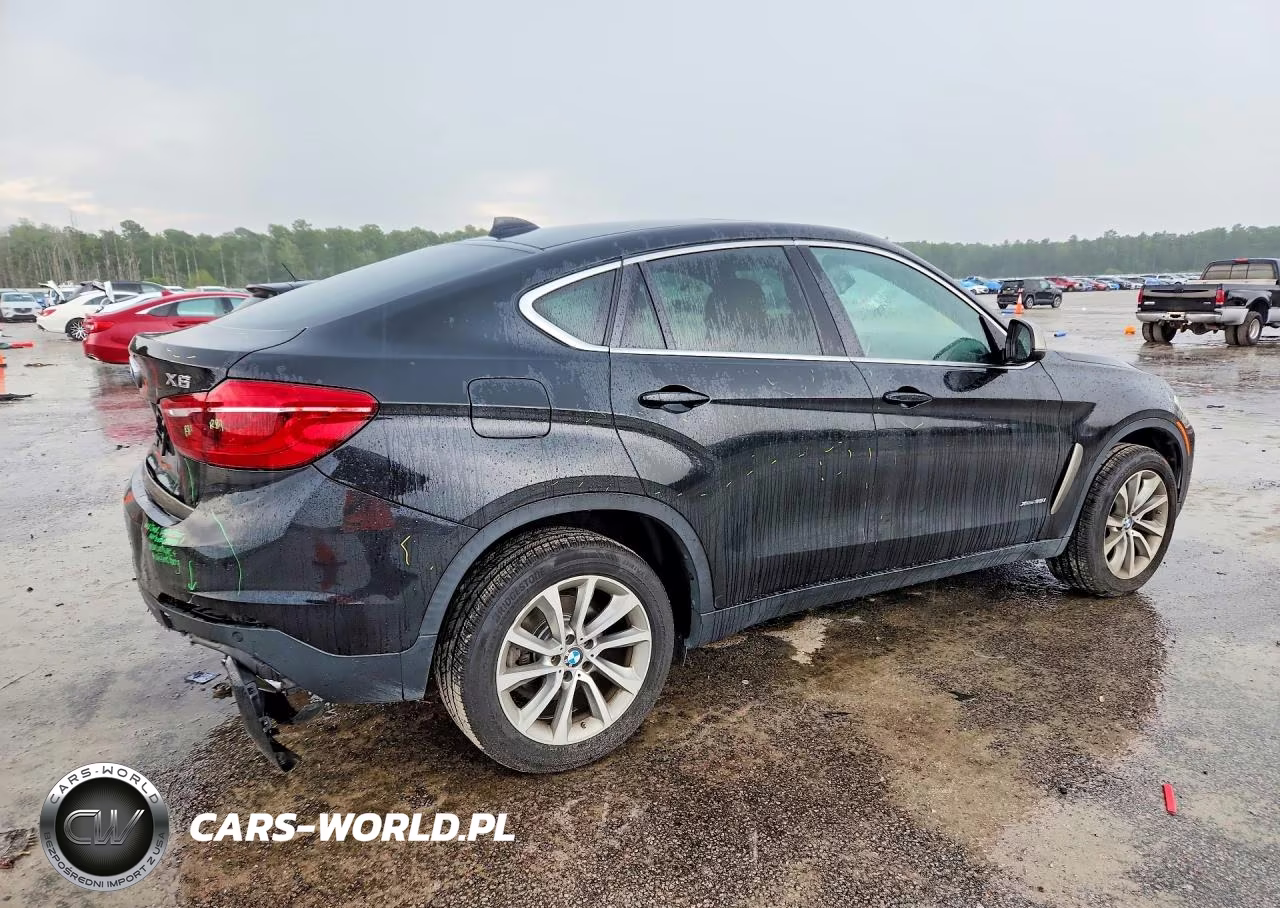 2018 BMW X6 xDrive35I VIN:5UXKU2C51J0X49731 - 3
