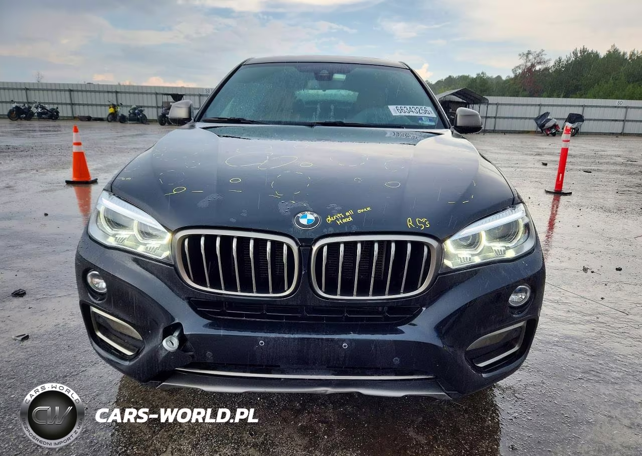 2018 BMW X6 xDrive35I VIN:5UXKU2C51J0X49731 - 5
