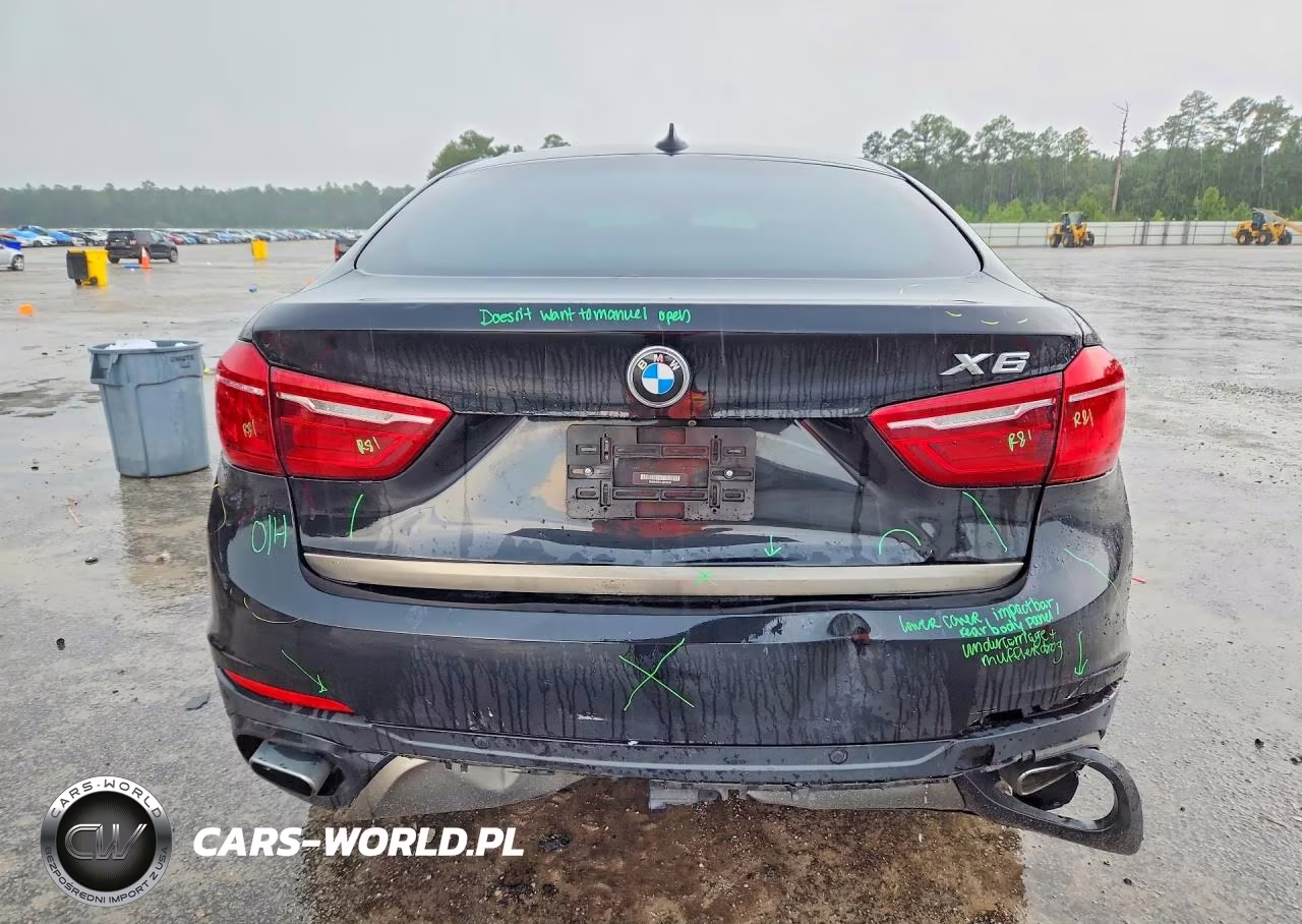 2018 BMW X6 xDrive35I VIN:5UXKU2C51J0X49731 - 6