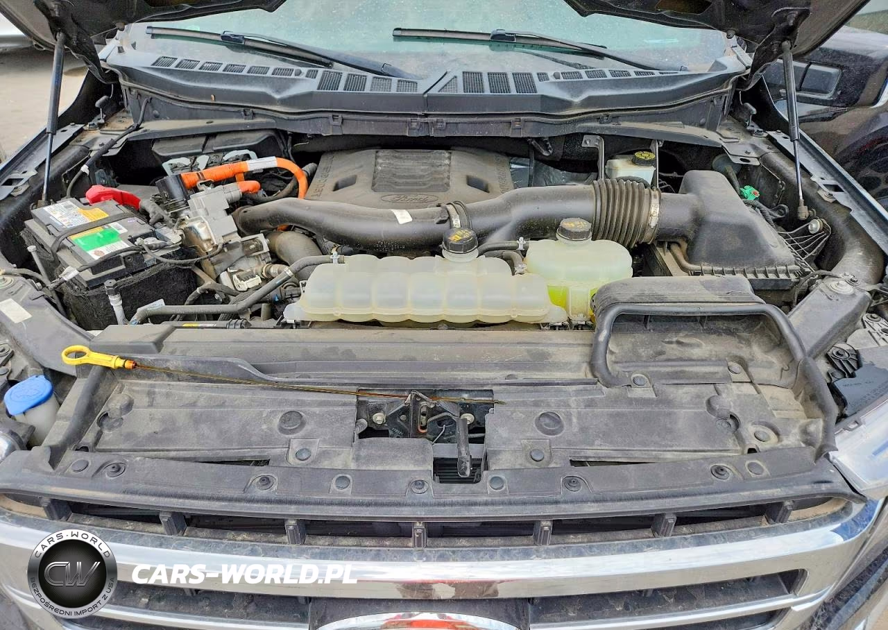 2021 Ford F150 Supercrew VIN:1FTFW1CD8MFB77511 - 11