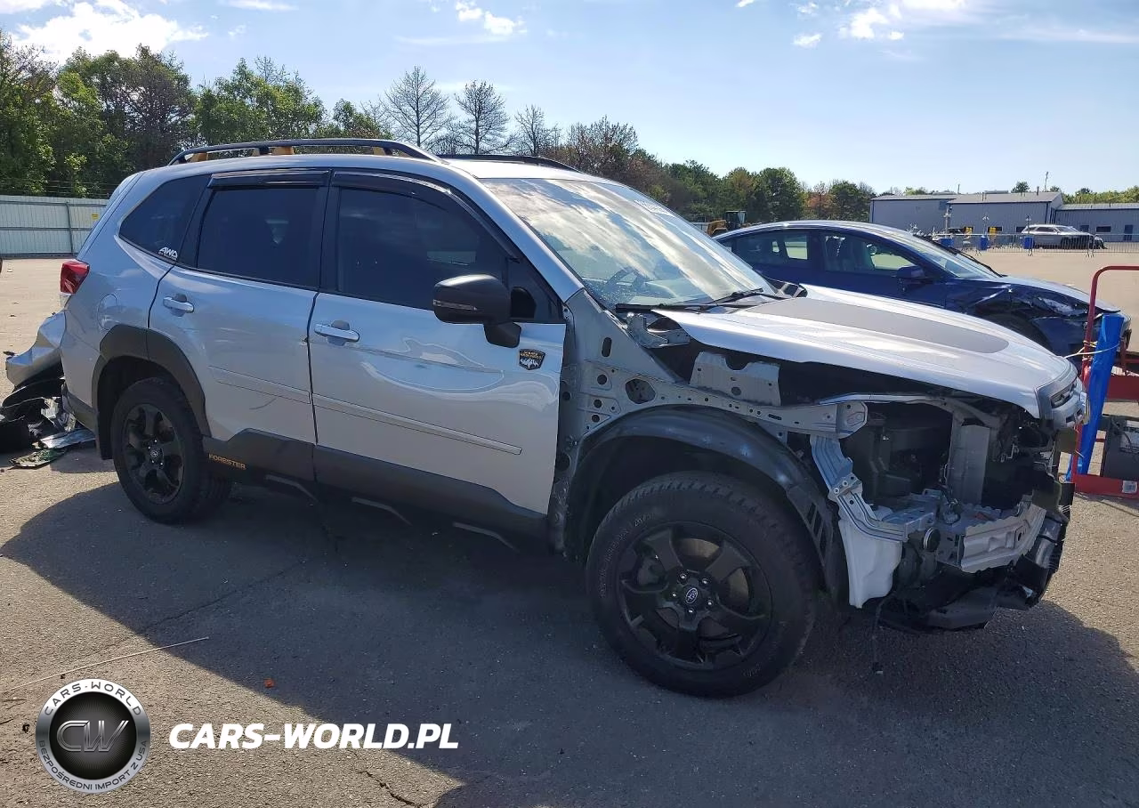 2022 Subaru Forester Wilderness VIN:JF2SKAMC5NH468118 - 4