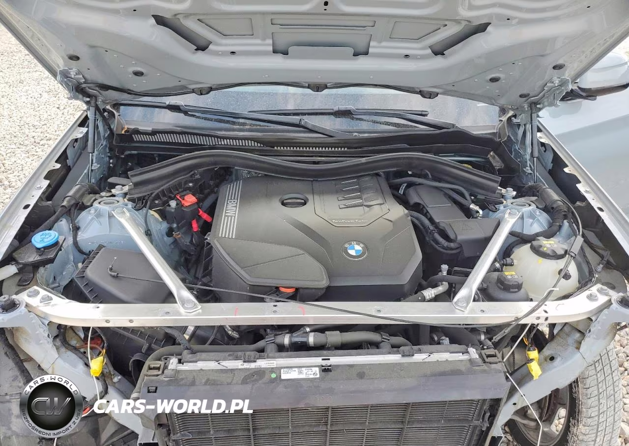2022 BMW X3 Sdrive30I VIN:WBX47DP06NN176932 - 11