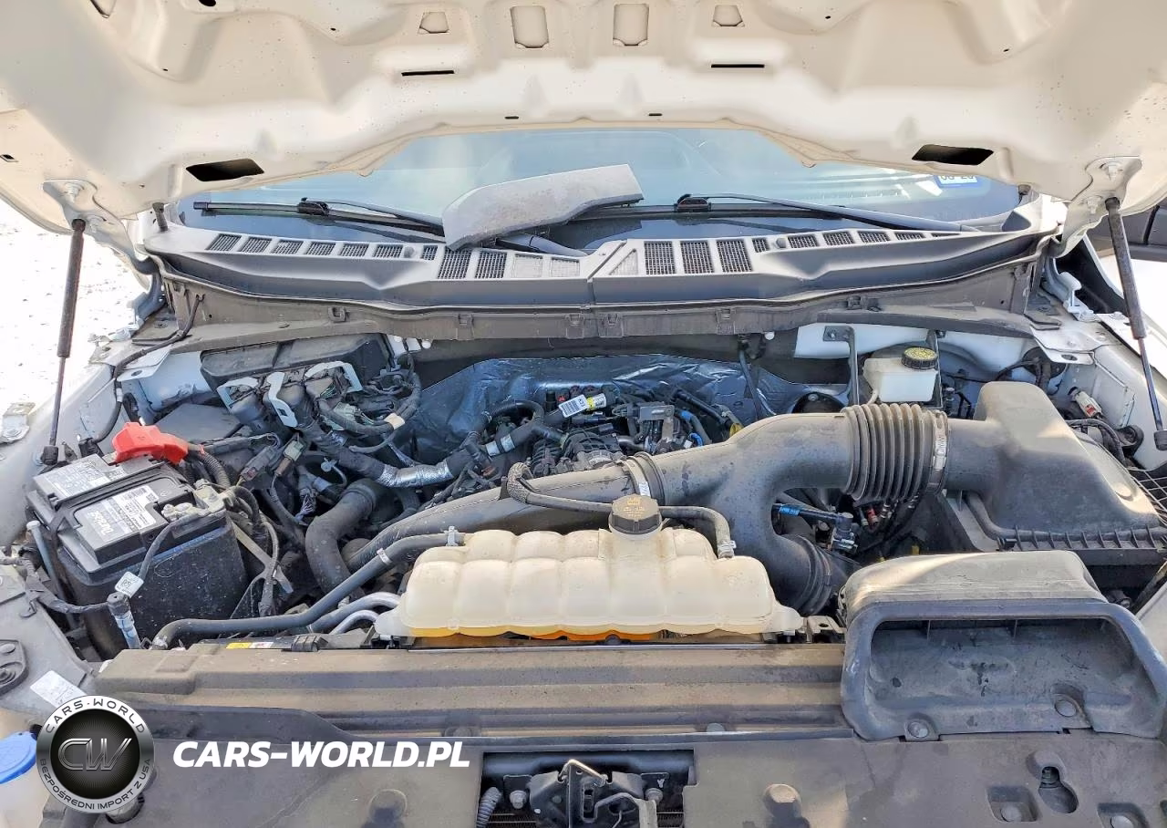 2024 Ford F150 Stx VIN:1FTEW2LP6RKD85400 - 11