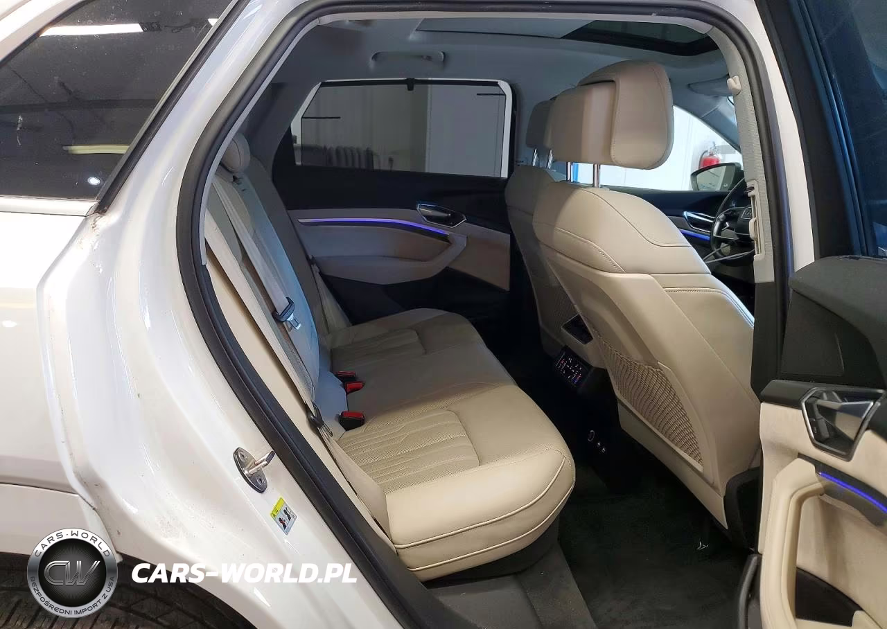 2019 Audi E-Tron Prestige VIN:WA1VABGE1KB010070 - 11