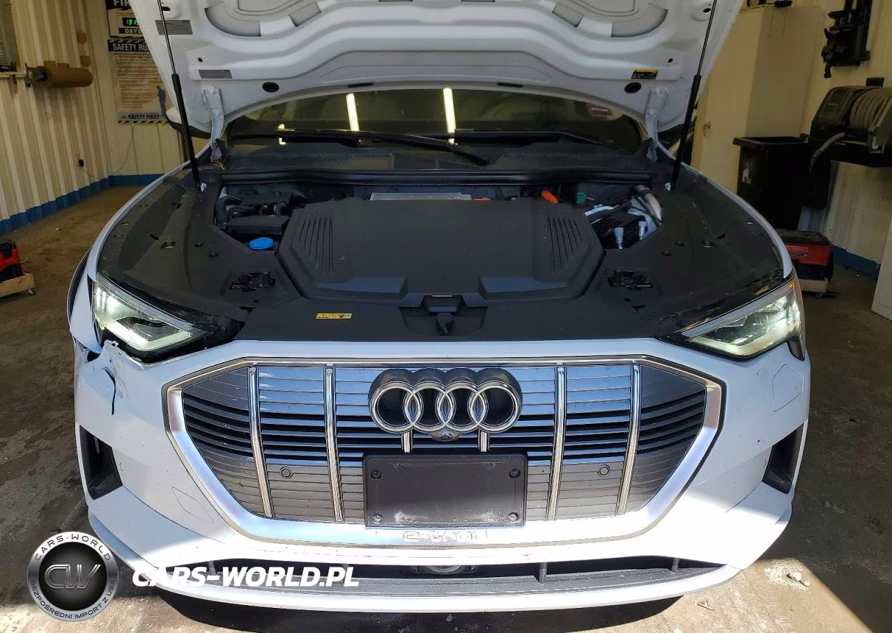 2019 Audi E-Tron Prestige VIN:WA1VABGE1KB010070 - 12