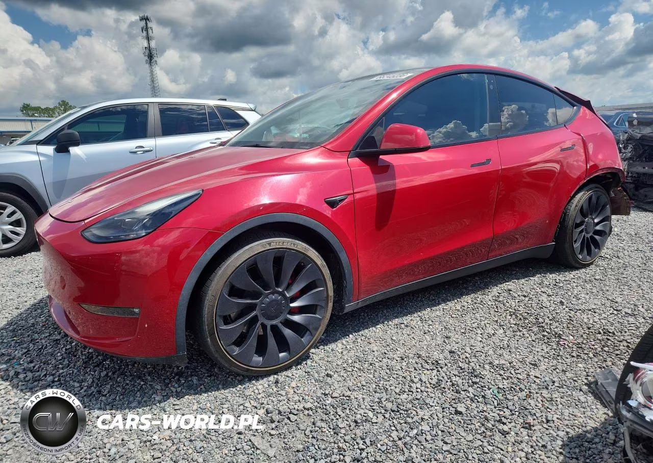 2023 Tesla Model Y VIN:7SAYGDEF0PF603905 - 1