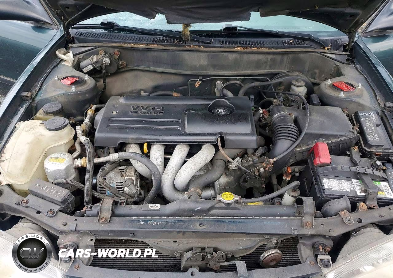 2000 Chevrolet Geo Prizm Base VIN:1Y1SK5289YZ420801 - 11