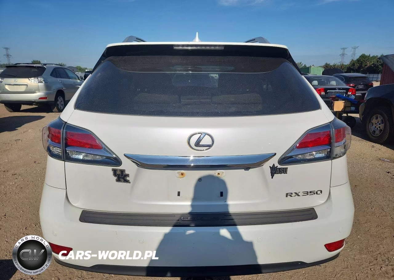 2014 Lexus Rx 350 Base VIN:2T2BK1BAXEC242334 - 6