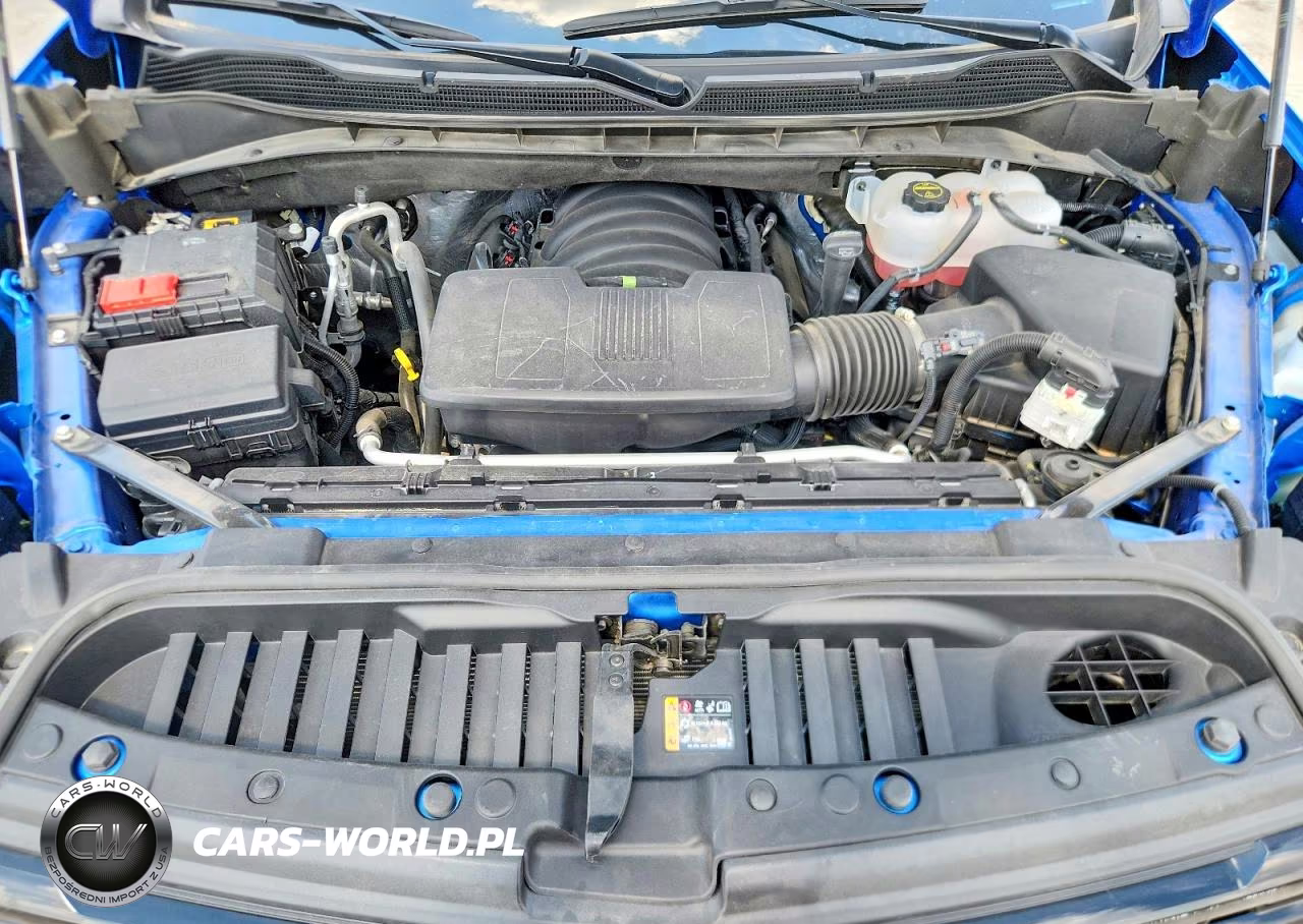 2025 Chevrolet Silverado K1500 Lt Trail Boss VIN:3GCUKFEDXSG296315 - 11