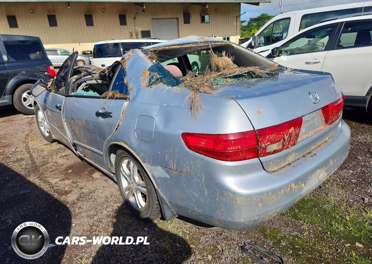 2005 Honda Accord Dx VIN:1HGCM56155A148047 - 2