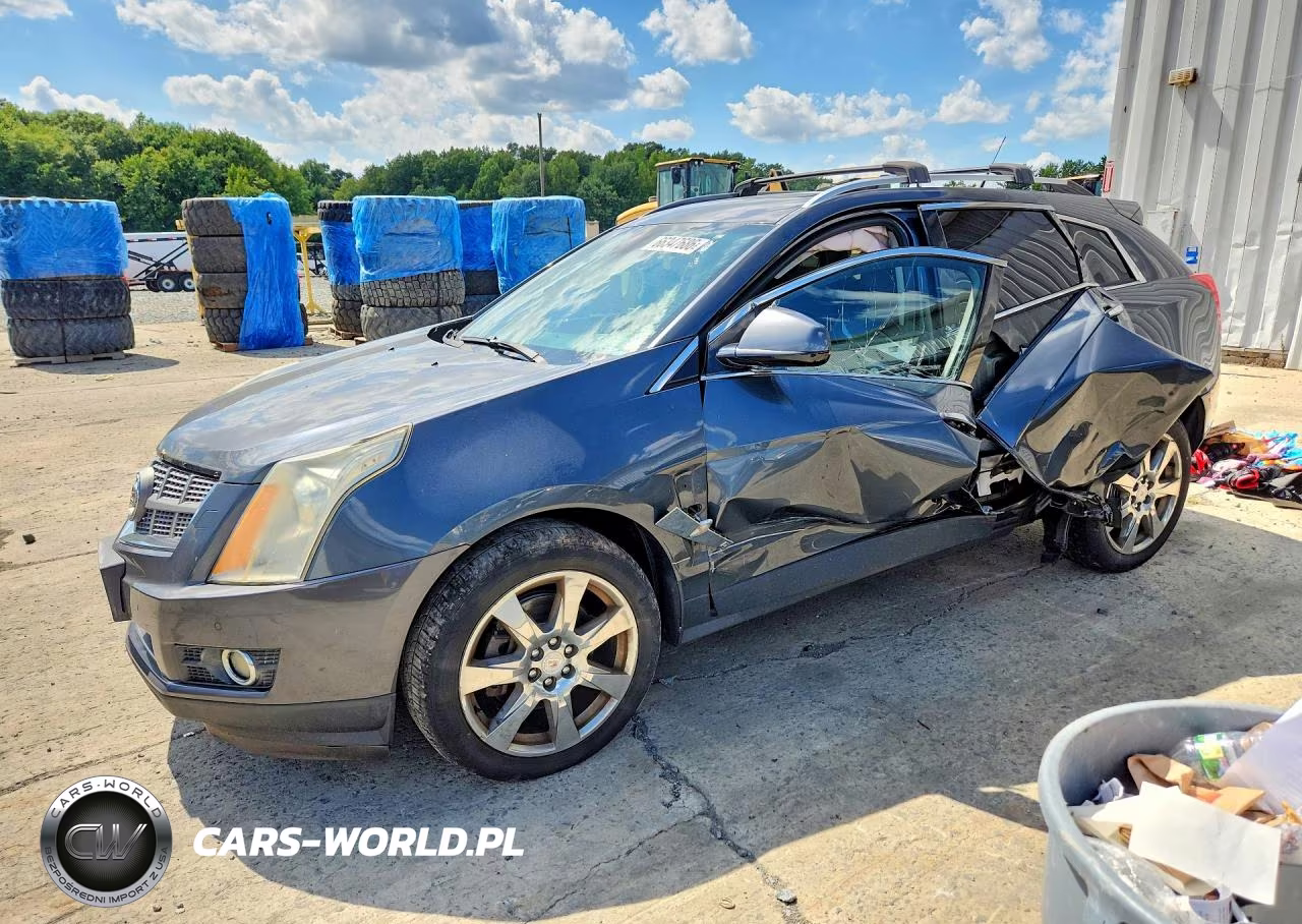 2010 Cadillac Srx Performance Collection VIN:3GYFNEEYXAS560930 - 1