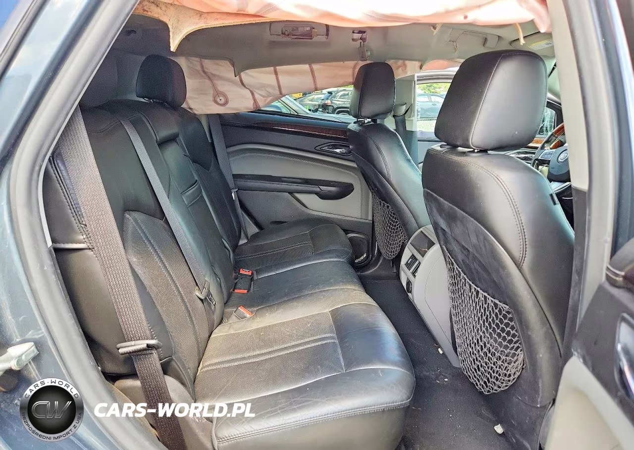 2010 Cadillac Srx Performance Collection VIN:3GYFNEEYXAS560930 - 10