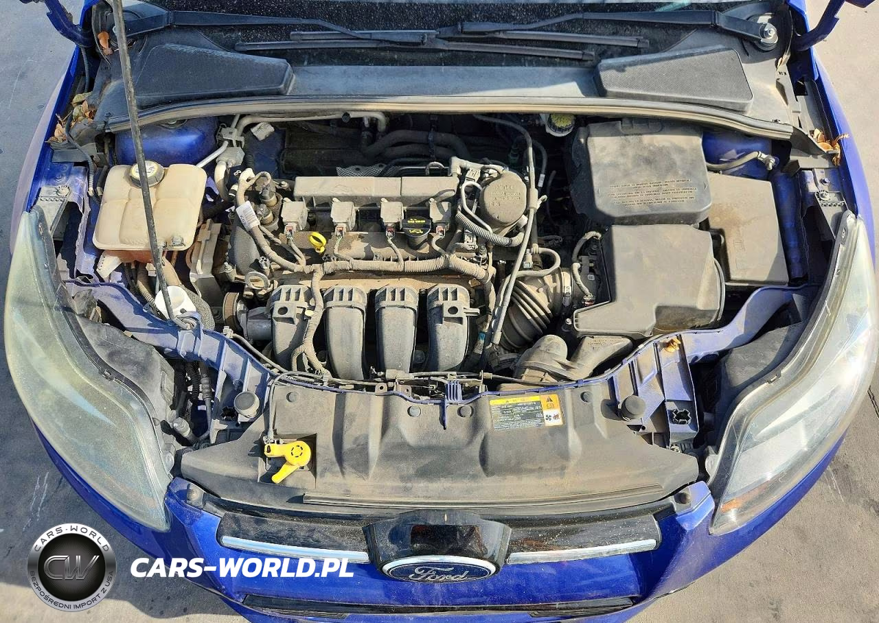 2013 Ford Focus Titanium VIN:1FADP3N28DL176619 - 11