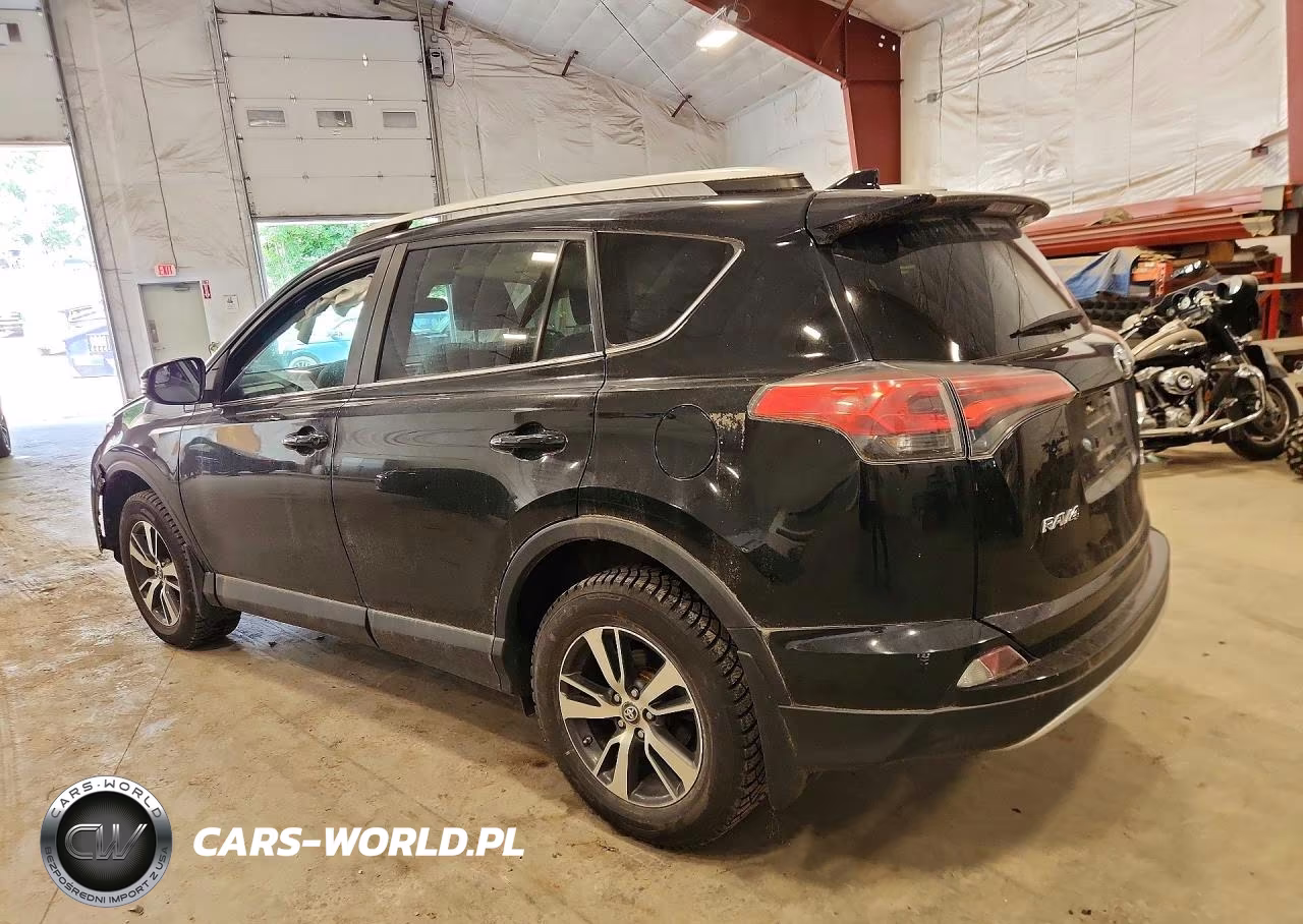 2016 Toyota Rav4 Xle VIN:2T3RFREV1GW487696 - 2