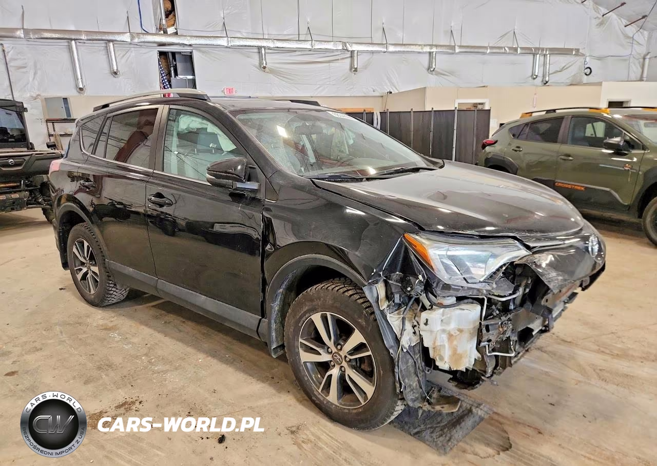 2016 Toyota Rav4 Xle VIN:2T3RFREV1GW487696 - 4