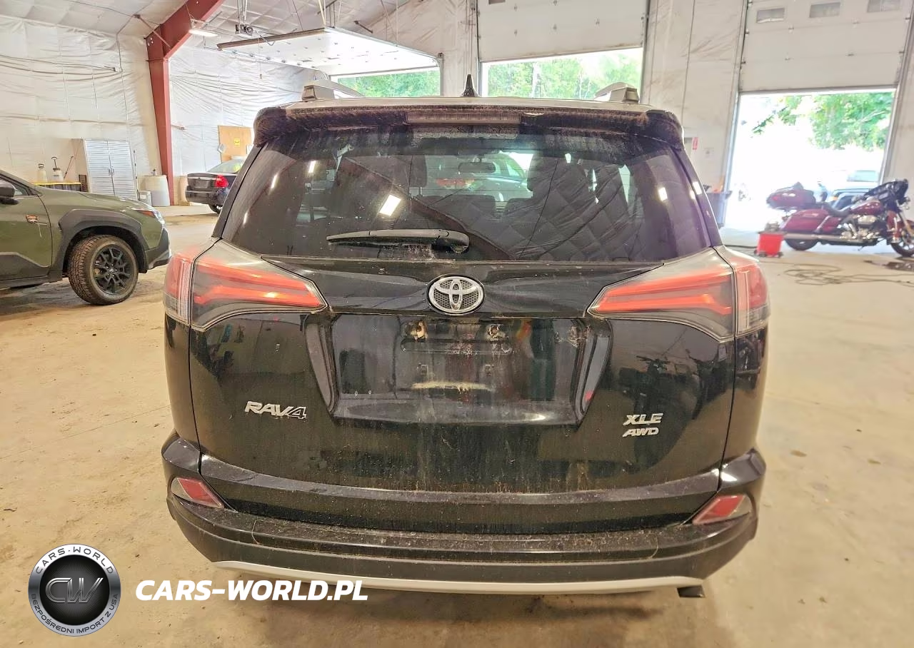 2016 Toyota Rav4 Xle VIN:2T3RFREV1GW487696 - 6