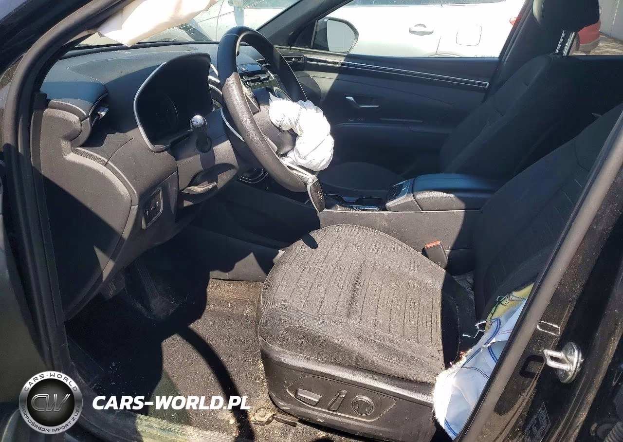 2024 Hyundai Santa Cruz Sel VIN:5NTJBDAE0RH096083 - 7