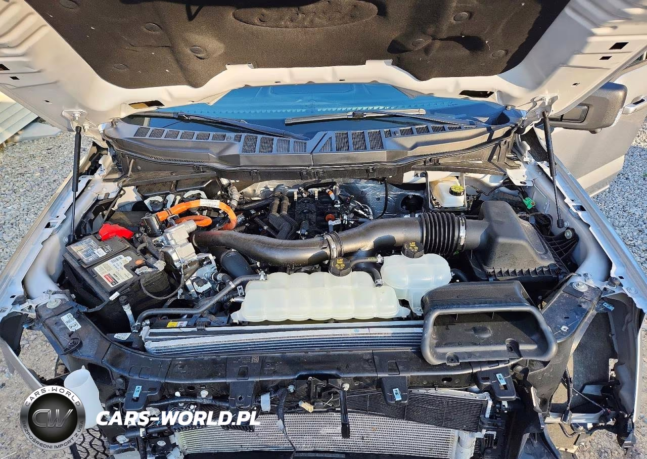 2025 Ford F150 Xlt VIN:1FTFW3LD0SFC10963 - 11