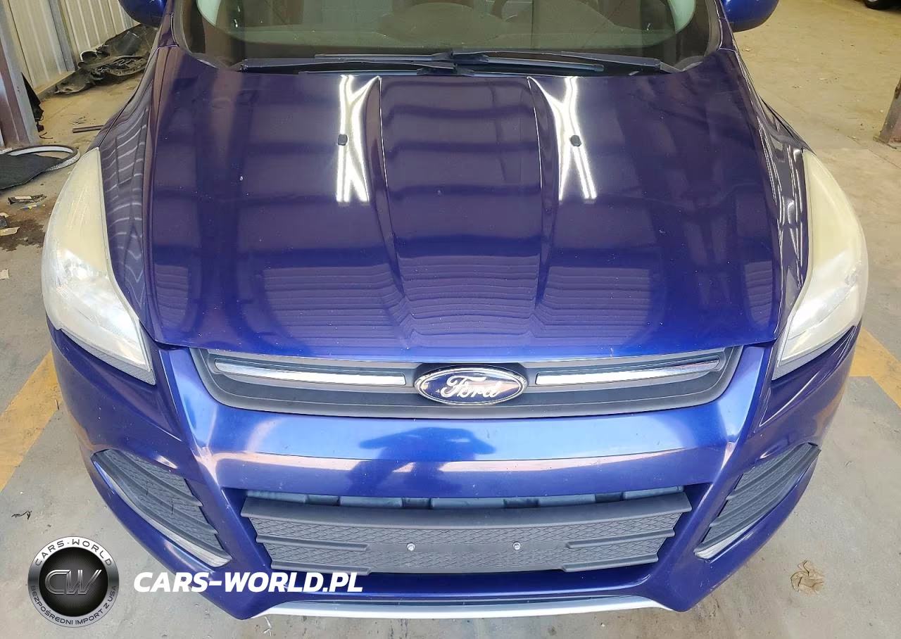 2015 Ford Escape Se VIN:1FMCU0GX6FUB00511 - 12