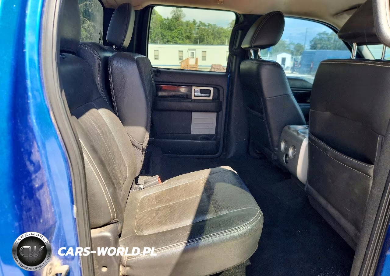 2010 Ford F150 Supercrew VIN:1FTEW1C88AKE45328 - 10