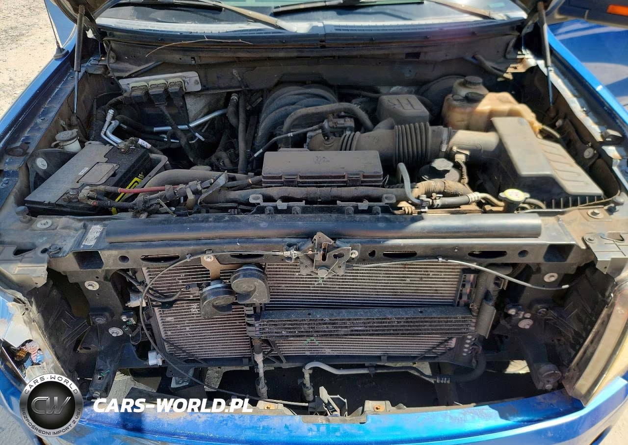 2010 Ford F150 Supercrew VIN:1FTEW1C88AKE45328 - 11