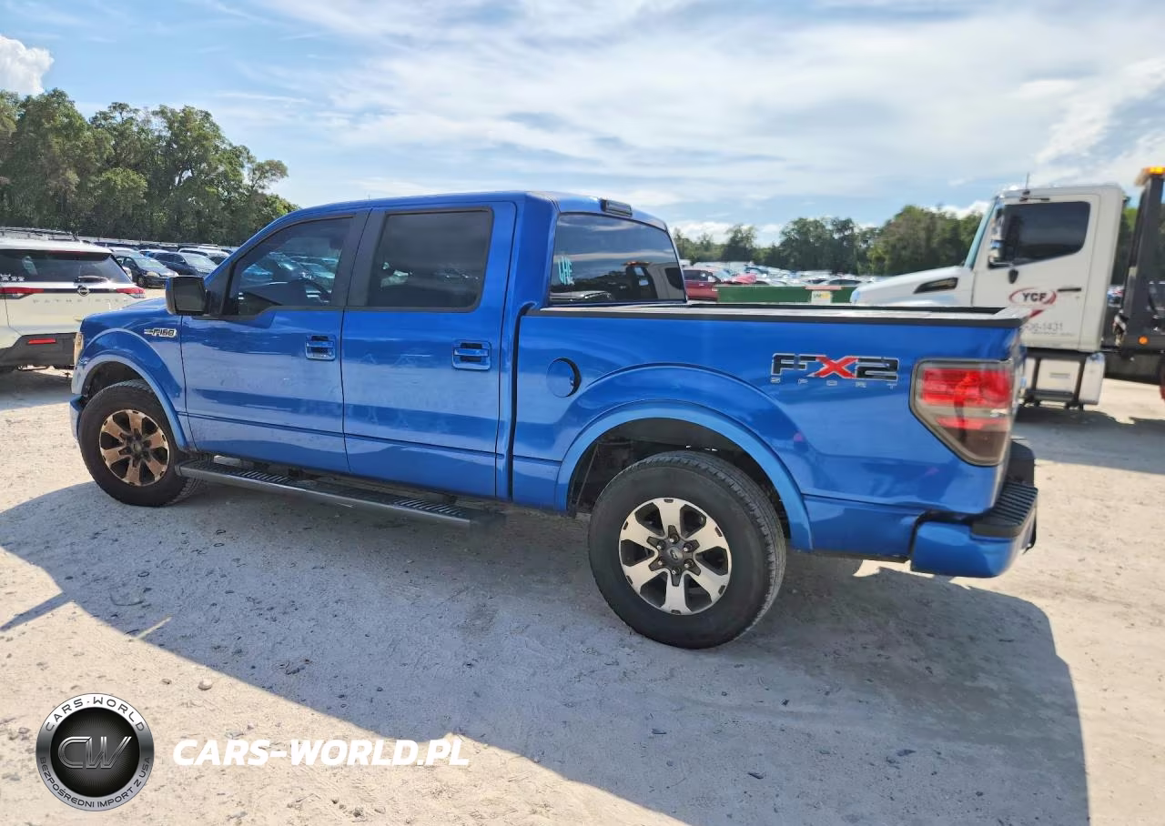2010 Ford F150 Supercrew VIN:1FTEW1C88AKE45328 - 2