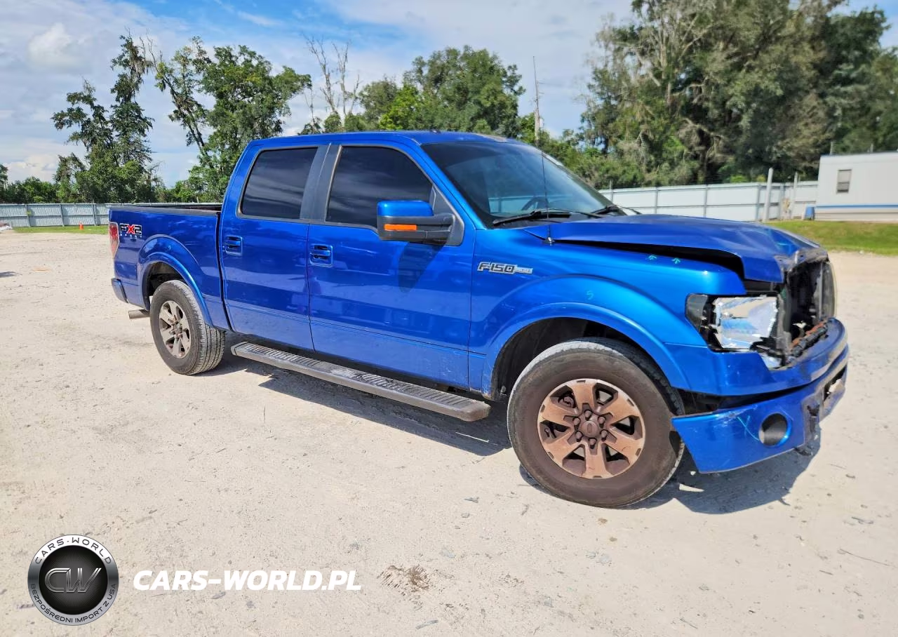 2010 Ford F150 Supercrew VIN:1FTEW1C88AKE45328 - 4