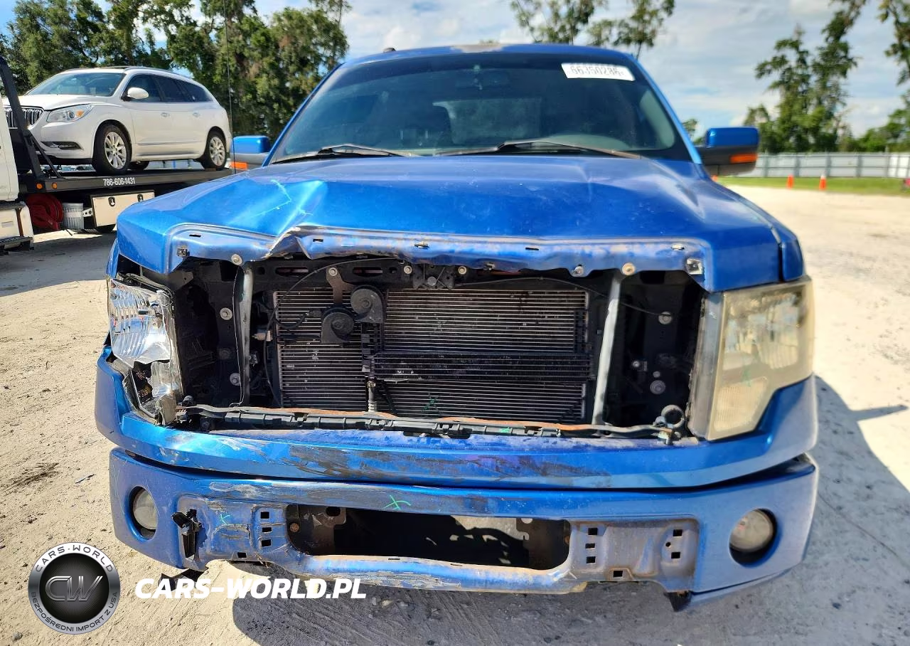 2010 Ford F150 Supercrew VIN:1FTEW1C88AKE45328 - 5