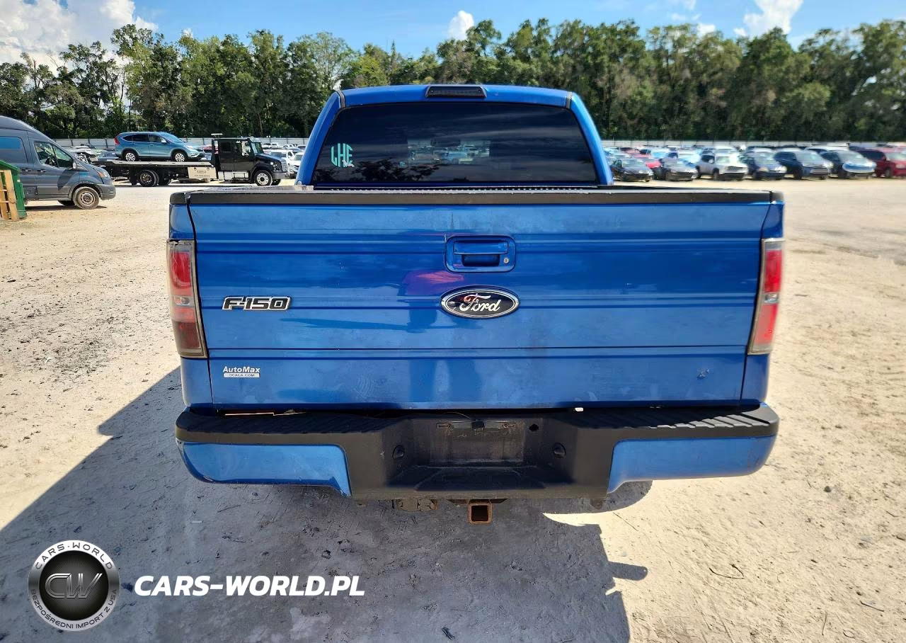 2010 Ford F150 Supercrew VIN:1FTEW1C88AKE45328 - 6
