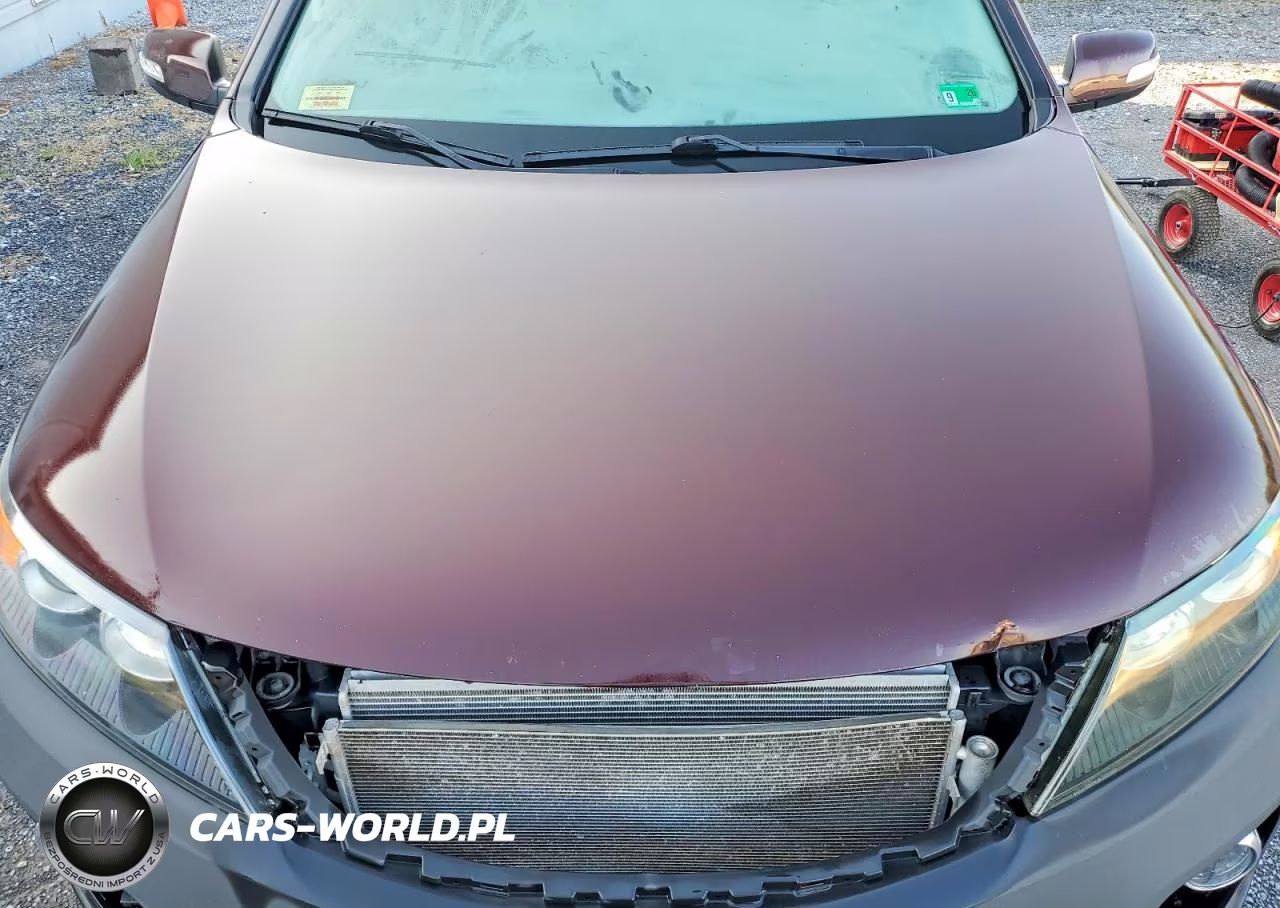 2012 Kia Sorento Lx VIN:5XYKT3A69CG241655 - 12
