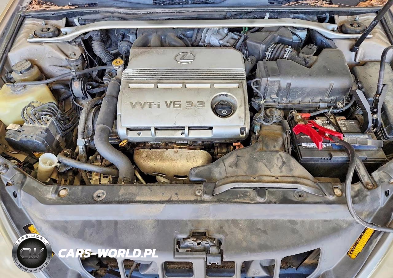 2004 Lexus Es 330 VIN:JTHBA30G645039333 - 11