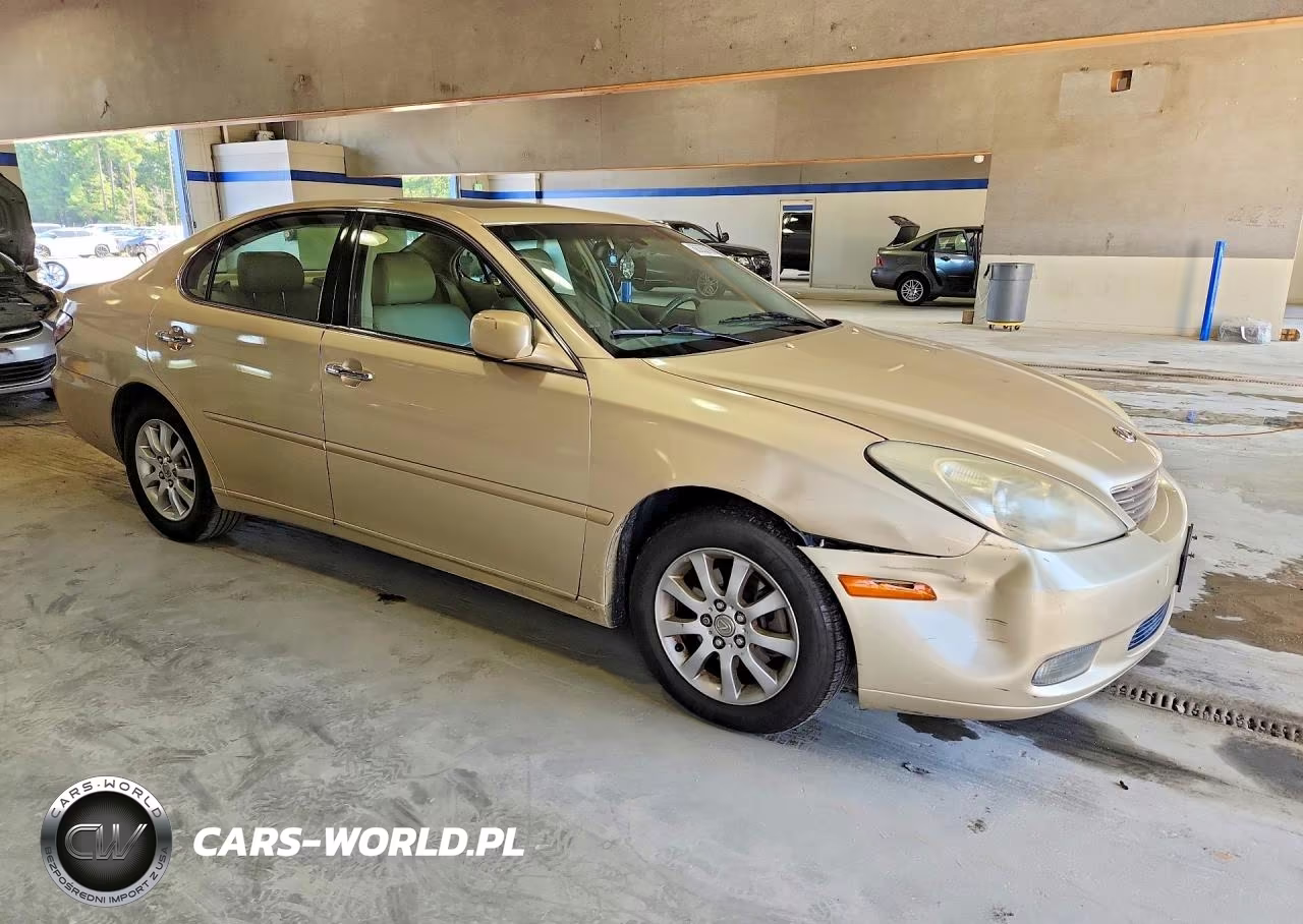 2004 Lexus Es 330 VIN:JTHBA30G645039333 - 4