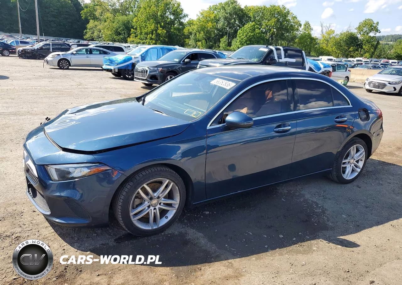 2019 Mercedes-Benz A 220 4Matic VIN:WDD3G4FB7KW020437 - 1