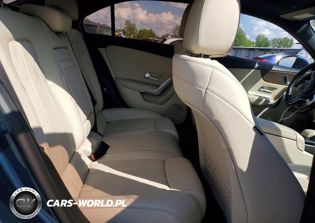 2019 Mercedes-Benz A 220 4Matic VIN:WDD3G4FB7KW020437 - 10