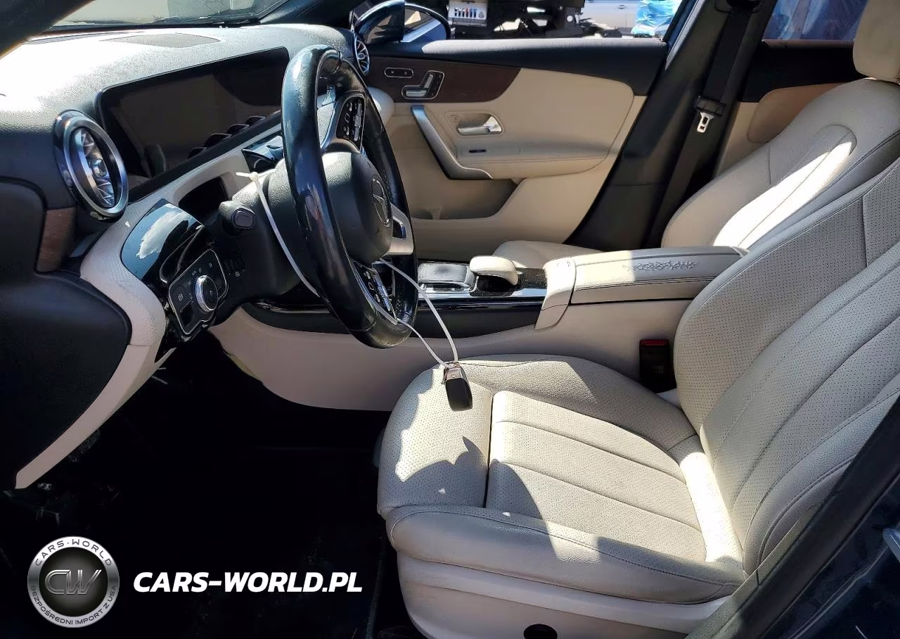 2019 Mercedes-Benz A 220 4Matic VIN:WDD3G4FB7KW020437 - 7