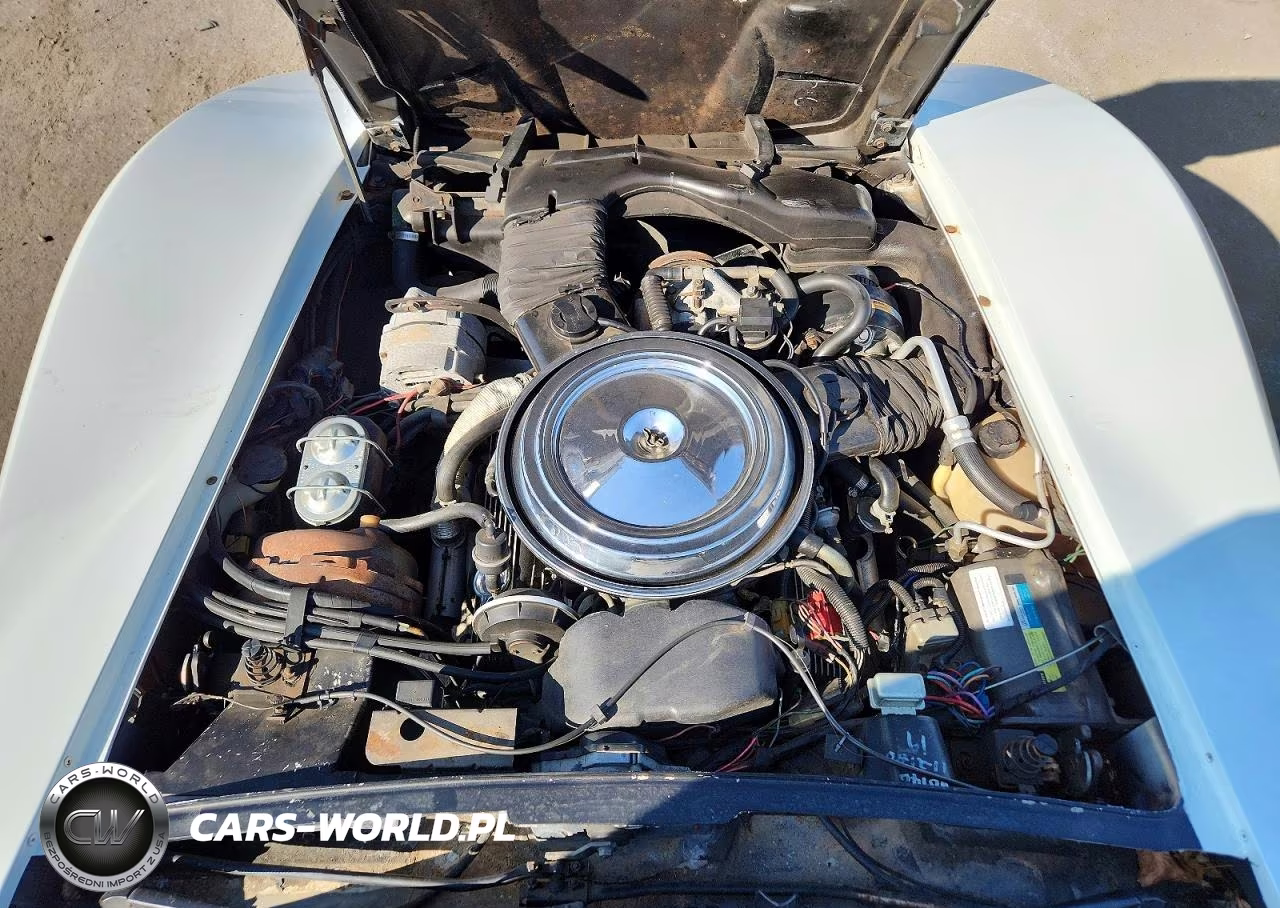 1981 Chevrolet Corvette VIN:1G1AY8768BS408705 - 11