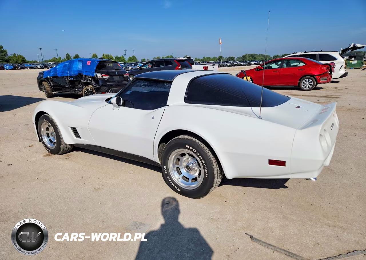 1981 Chevrolet Corvette VIN:1G1AY8768BS408705 - 2