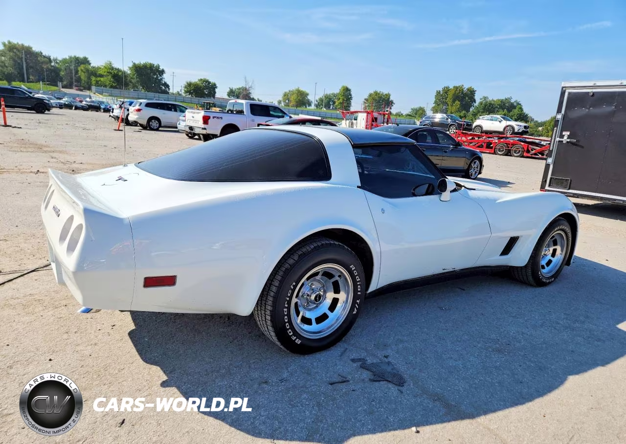 1981 Chevrolet Corvette VIN:1G1AY8768BS408705 - 3