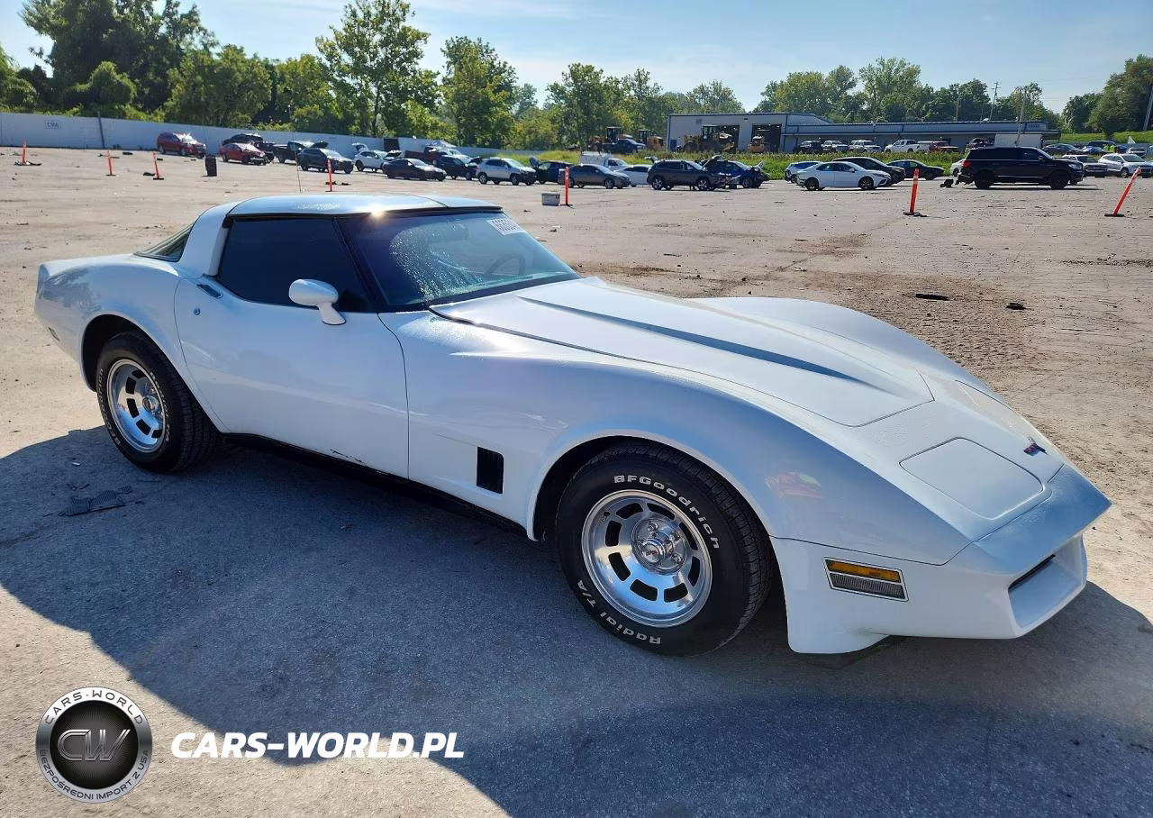 1981 Chevrolet Corvette VIN:1G1AY8768BS408705 - 4