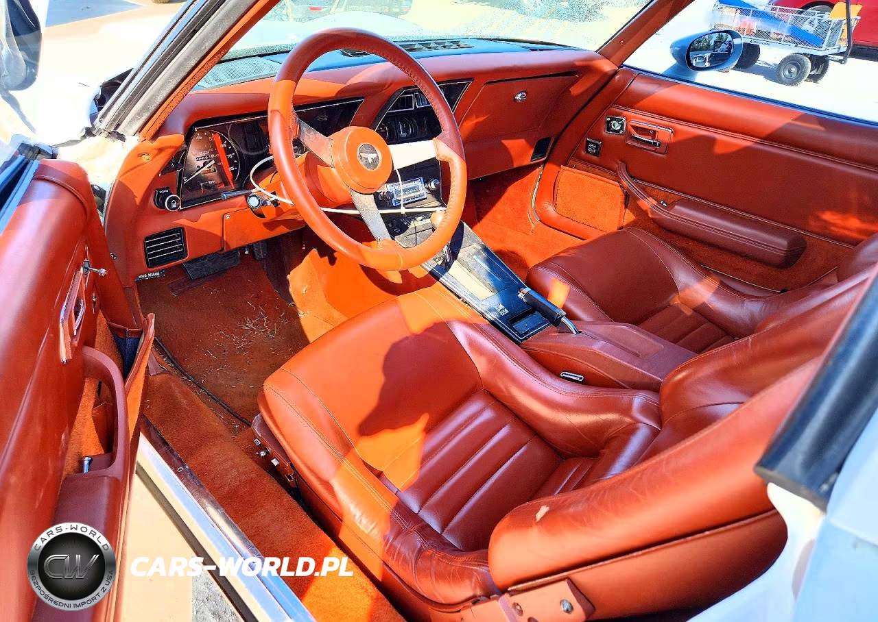 1981 Chevrolet Corvette VIN:1G1AY8768BS408705 - 8