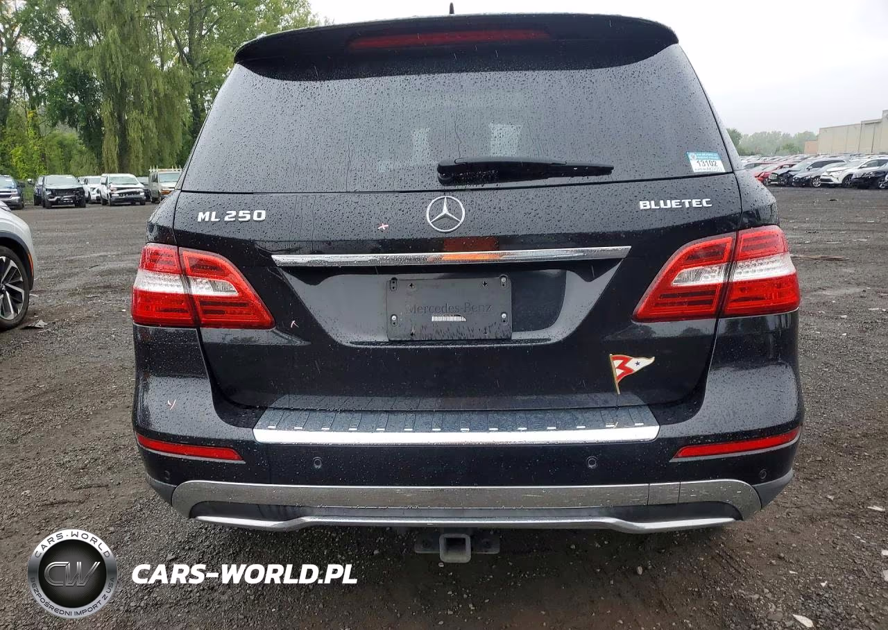 2015 Mercedes-Benz Ml 250 Bluetec VIN:4JGDA0EB8FA618979 - 6