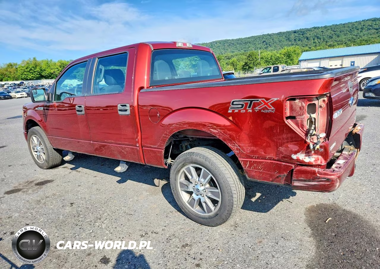 2014 Ford F150 Supercrew VIN:1FTFW1EF2EKF86305 - 2