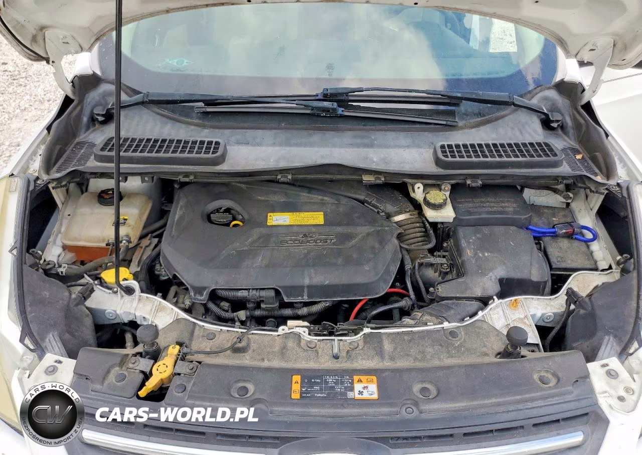 2013 Ford Escape Se VIN:1FMCU0GX3DUD55582 - 12