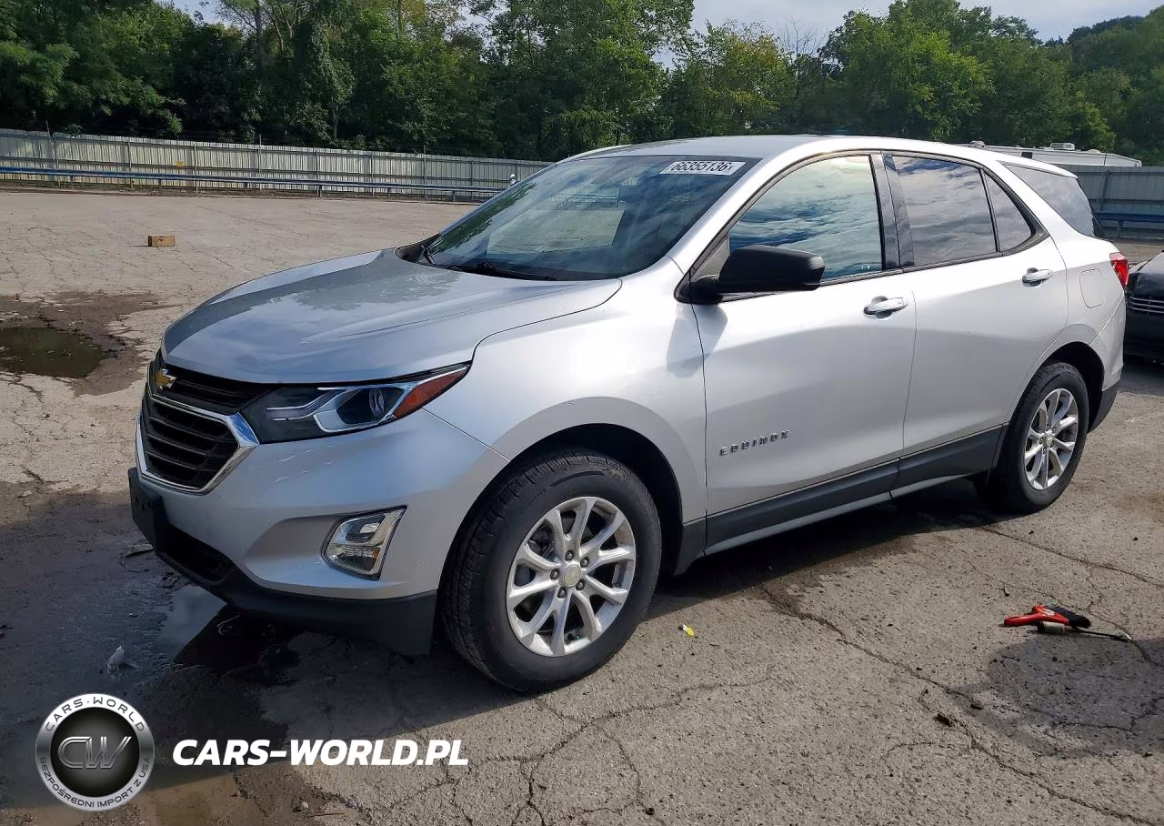 2019 Chevrolet Equinox Ls VIN:3GNAXSEV2KS628743 - 1