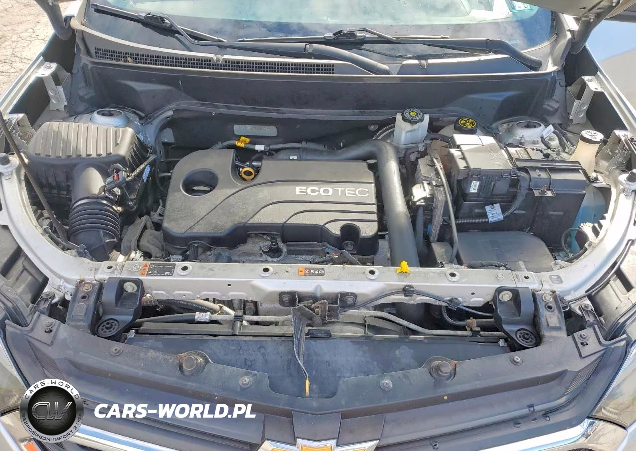 2019 Chevrolet Equinox Ls VIN:3GNAXSEV2KS628743 - 12