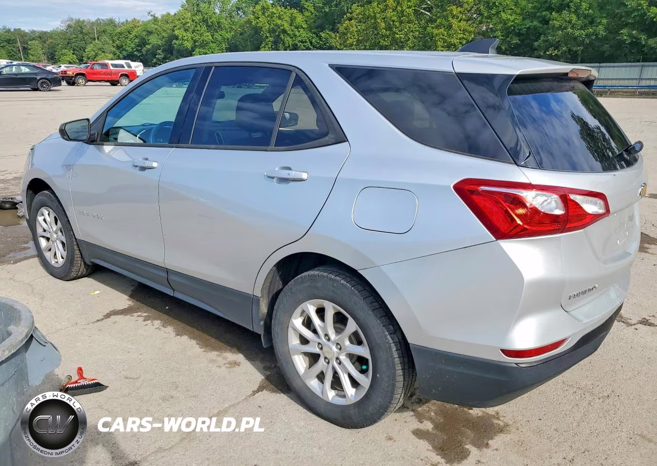 2019 Chevrolet Equinox Ls VIN:3GNAXSEV2KS628743 - 2