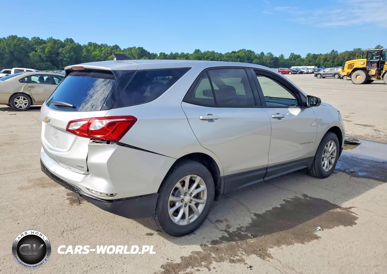 2019 Chevrolet Equinox Ls VIN:3GNAXSEV2KS628743 - 3